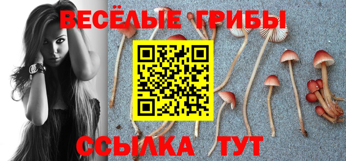 Псилоцибиновые грибы Psilocybine cubensis  Вход с VPN  Псилоцибиновые грибы мицелий  где можно купить наркотик  Егорьевск 